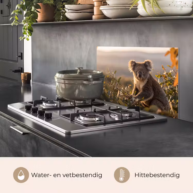 Spatscherm keuken - Koala - Bladeren - Ochtendlicht — 7