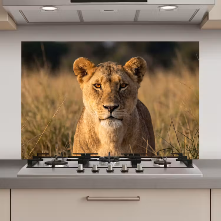 Spatscherm keuken - Leeuwin - Gras - Geel — 1
