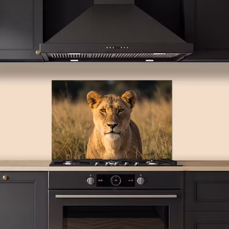 Spatscherm keuken - Leeuwin - Gras - Geel — 2