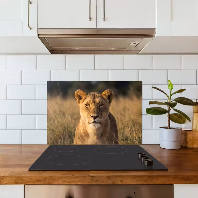 Spatscherm keuken - Leeuwin - Gras - Geel — 6