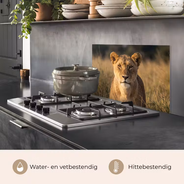 Spatscherm keuken - Leeuwin - Gras - Geel — 7