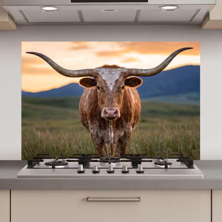 Spatscherm keuken - Longhorn - Landschap - Zonsondergang — 1