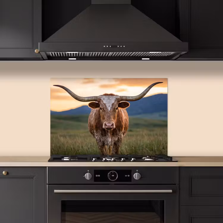 Spatscherm keuken - Longhorn - Landschap - Zonsondergang — 2