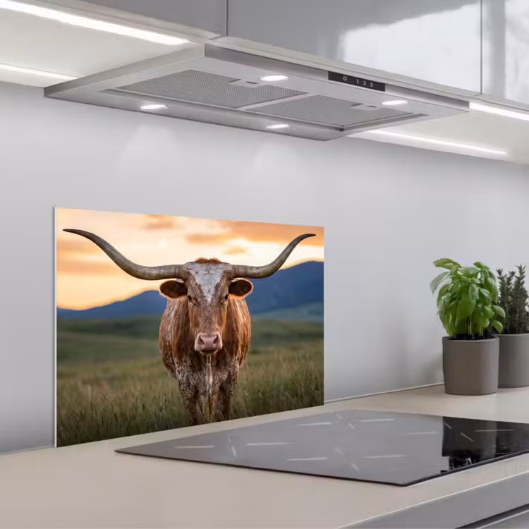 Spatscherm keuken - Longhorn - Landschap - Zonsondergang — 5