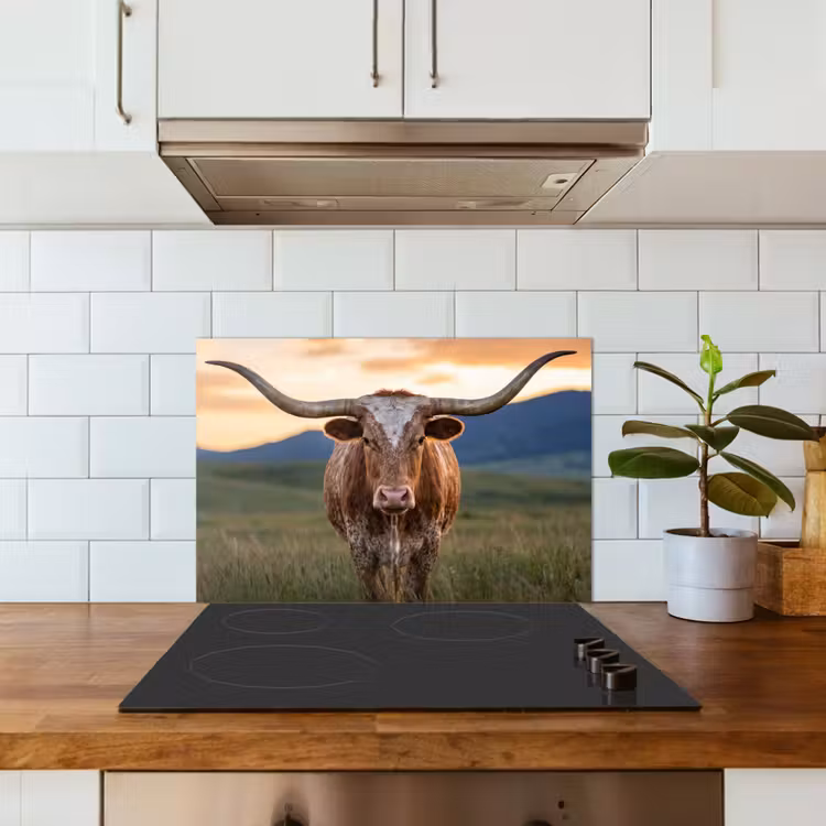 Spatscherm keuken - Longhorn - Landschap - Zonsondergang — 6