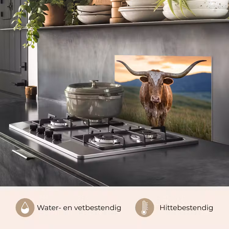 Spatscherm keuken - Longhorn - Landschap - Zonsondergang — 7