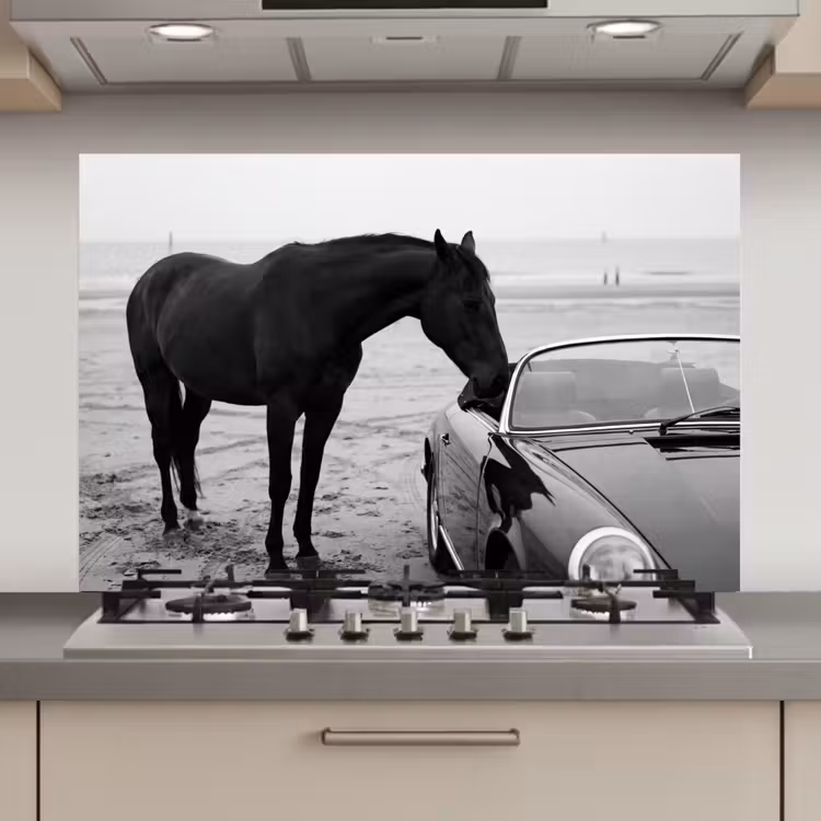 Spatscherm keuken - Paard - Auto - Zwart - Wit — 1
