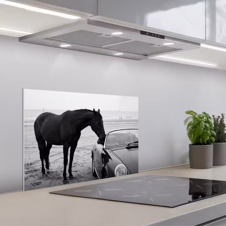 Spatscherm keuken - Paard - Auto - Zwart - Wit — 5