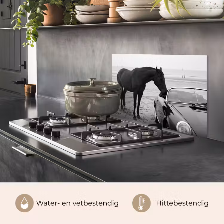 Spatscherm keuken - Paard - Auto - Zwart - Wit — 7