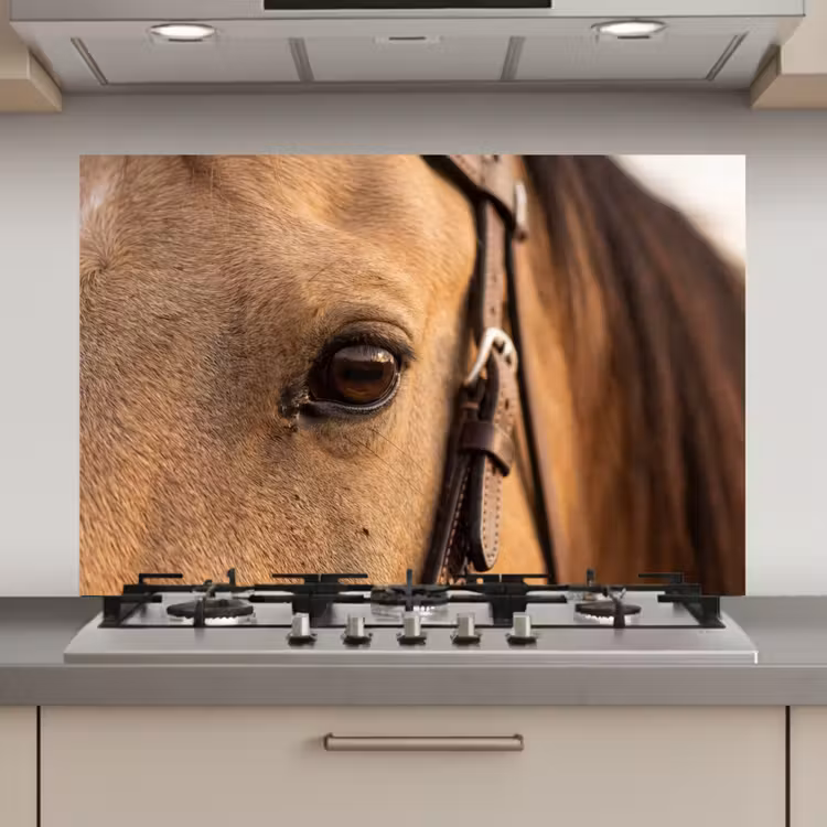 Spatscherm keuken - Paard - Oog - Bruin — 1