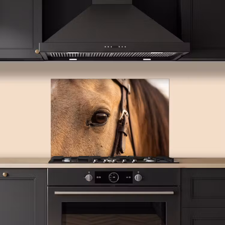 Spatscherm keuken - Paard - Oog - Bruin — 2