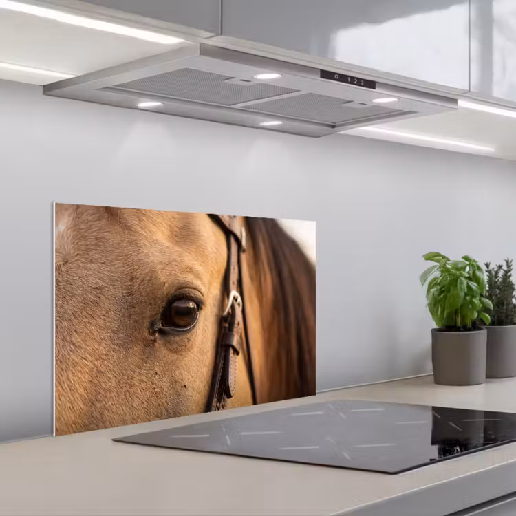 Spatscherm keuken - Paard - Oog - Bruin — 5