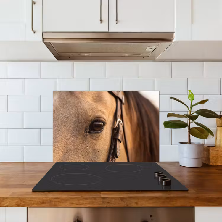 Spatscherm keuken - Paard - Oog - Bruin — 6