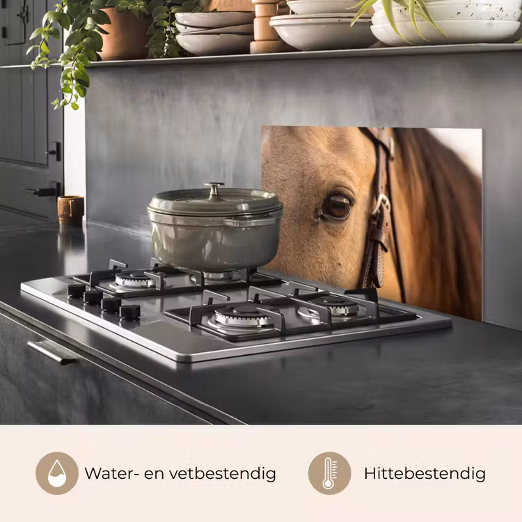 Spatscherm keuken - Paard - Oog - Bruin — 7