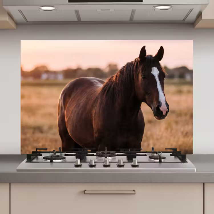 Spatscherm keuken - Paard - Zonsondergang - Bruin — 1
