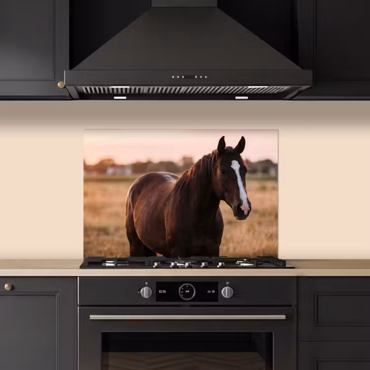 Spatscherm keuken - Paard - Zonsondergang - Bruin — 2
