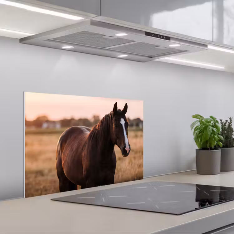 Spatscherm keuken - Paard - Zonsondergang - Bruin — 5