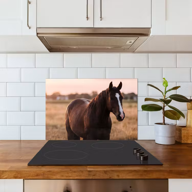 Spatscherm keuken - Paard - Zonsondergang - Bruin — 6