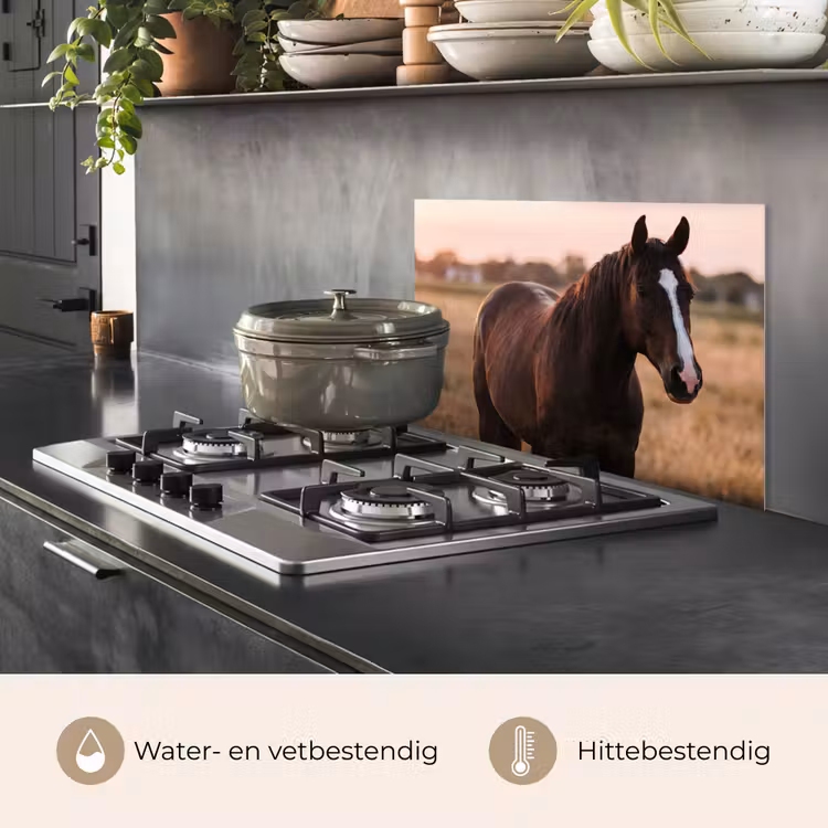 Spatscherm keuken - Paard - Zonsondergang - Bruin — 7