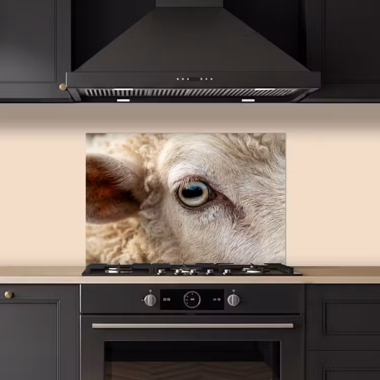 Spatscherm keuken - Schaap - Oog - Wit — 2