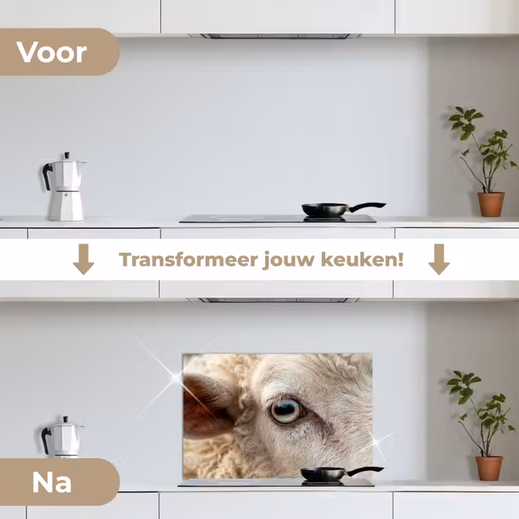 Spatscherm keuken - Schaap - Oog - Wit — 3