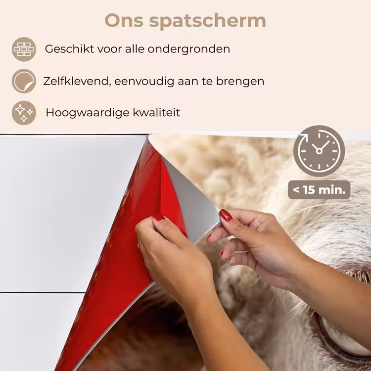 Spatscherm keuken - Schaap - Oog - Wit — 4