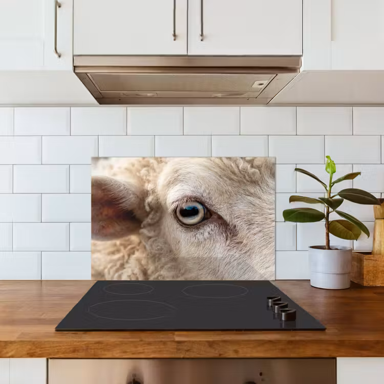 Spatscherm keuken - Schaap - Oog - Wit — 6