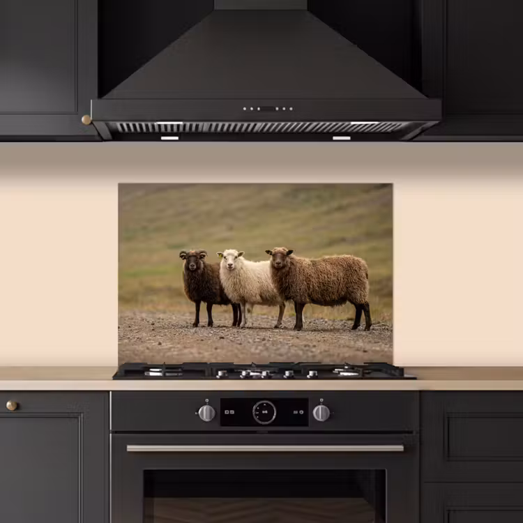 Spatscherm keuken - Schapen - Bruin - Wit - Grindpad — 2