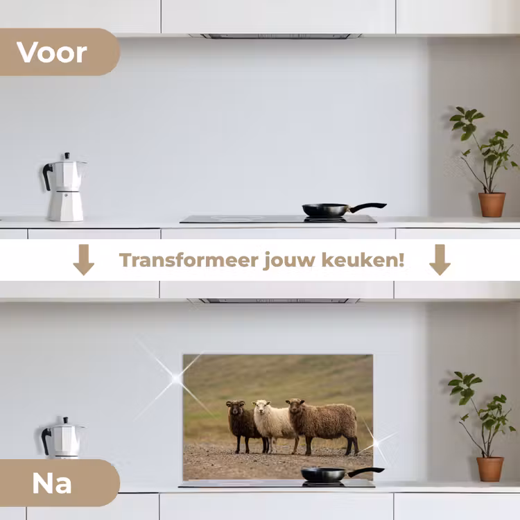 Spatscherm keuken - Schapen - Bruin - Wit - Grindpad — 3