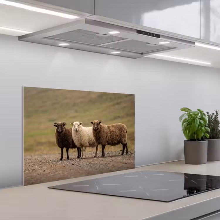 Spatscherm keuken - Schapen - Bruin - Wit - Grindpad — 5