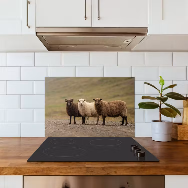 Spatscherm keuken - Schapen - Bruin - Wit - Grindpad — 6