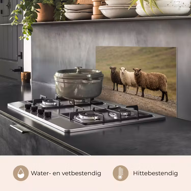 Spatscherm keuken - Schapen - Bruin - Wit - Grindpad — 7