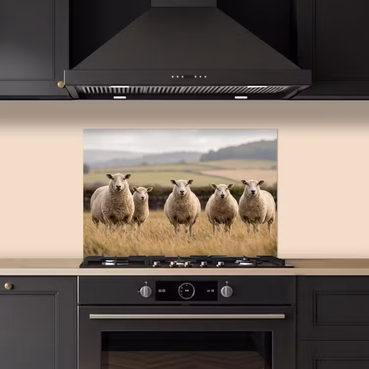 Spatscherm keuken - Schapen - Weidenlandschap - Heuvels — 2