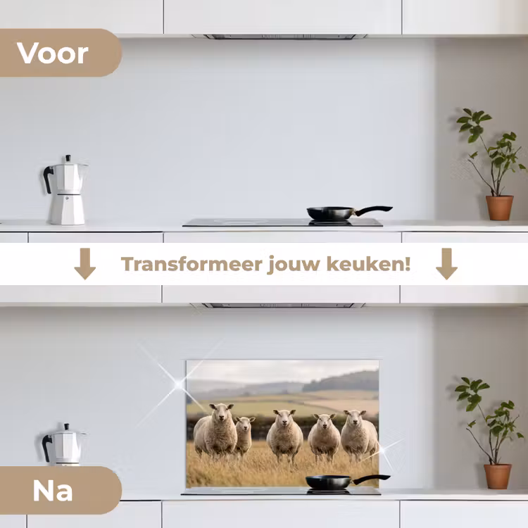 Spatscherm keuken - Schapen - Weidenlandschap - Heuvels — 3