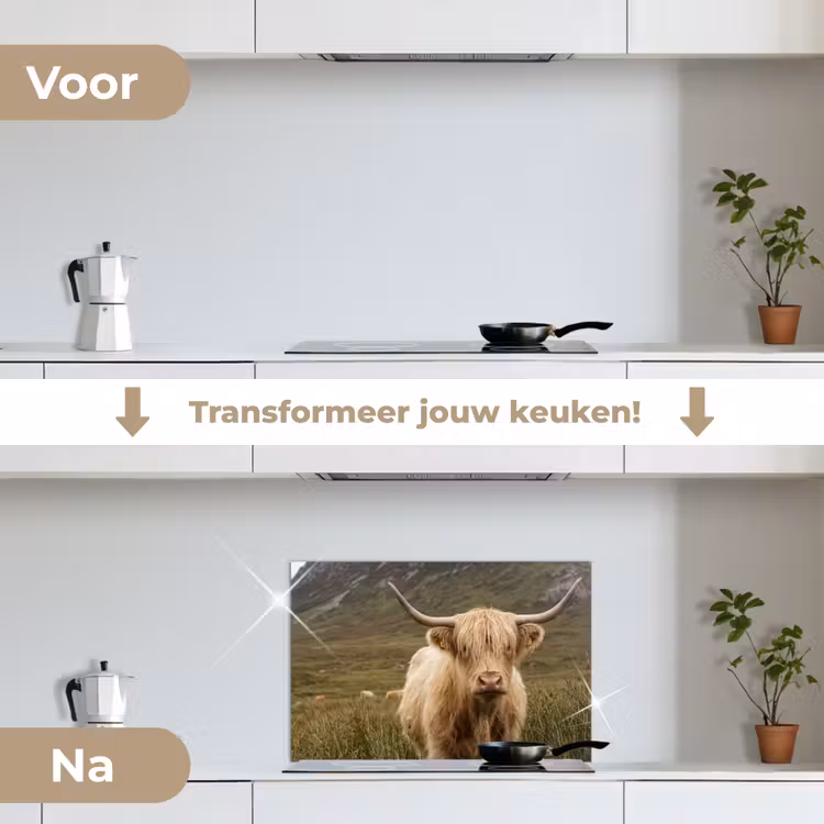 Spatscherm keuken - Schotse hooglander - Bergen - Grasveld — 3