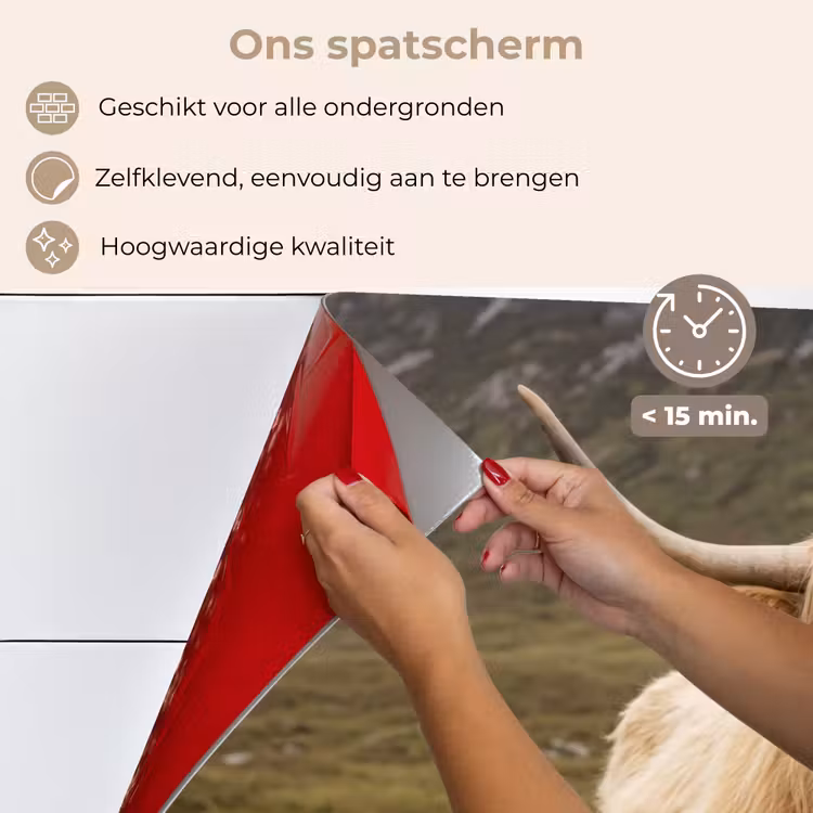Spatscherm keuken - Schotse hooglander - Bergen - Grasveld — 4