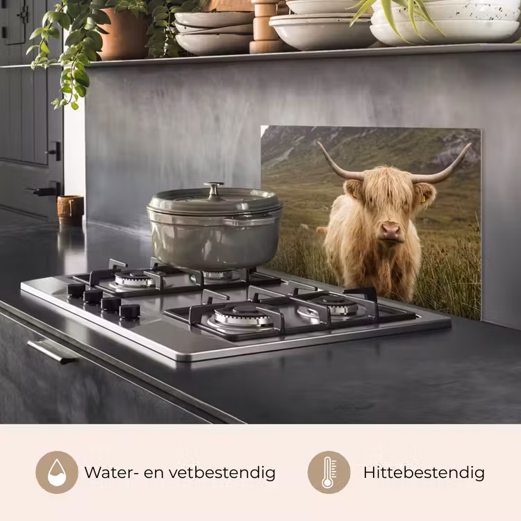 Spatscherm keuken - Schotse hooglander - Bergen - Grasveld — 7