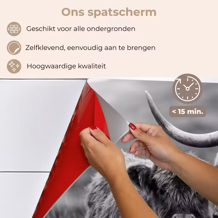 Spatscherm keuken - Schotse hooglander - Kalf - Zwart - Wit — 4