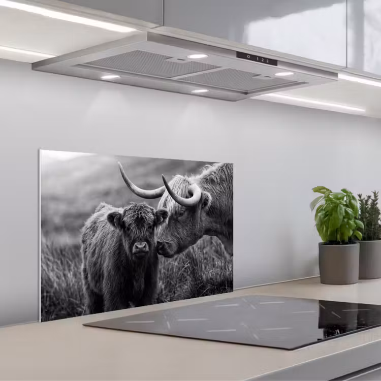 Spatscherm keuken - Schotse hooglander - Kalf - Zwart - Wit — 5