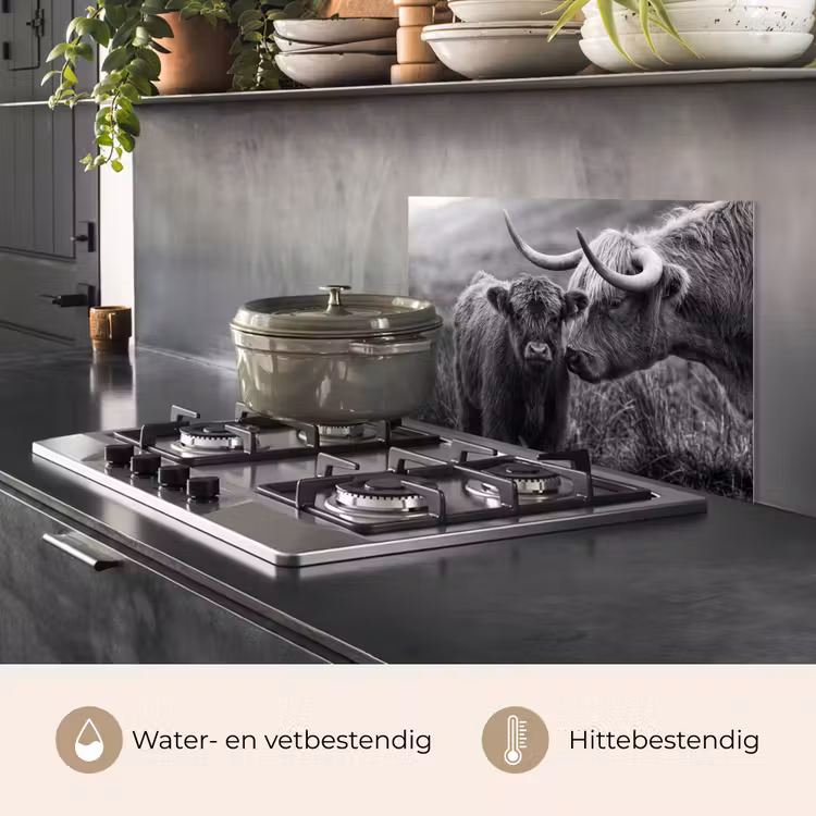 Spatscherm keuken - Schotse hooglander - Kalf - Zwart - Wit — 7