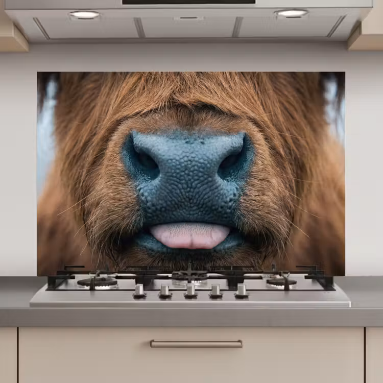 Spatscherm keuken - Schotse hooglander - Neus - Bruin — 1