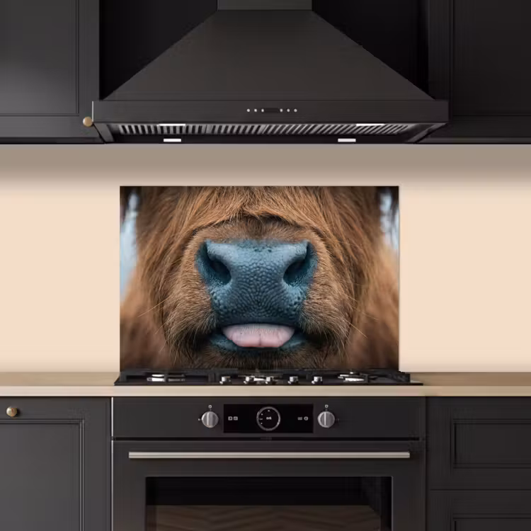 Spatscherm keuken - Schotse hooglander - Neus - Bruin — 2