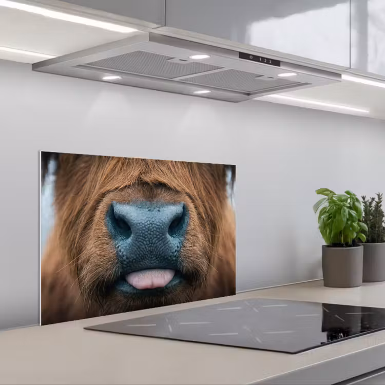 Spatscherm keuken - Schotse hooglander - Neus - Bruin — 5