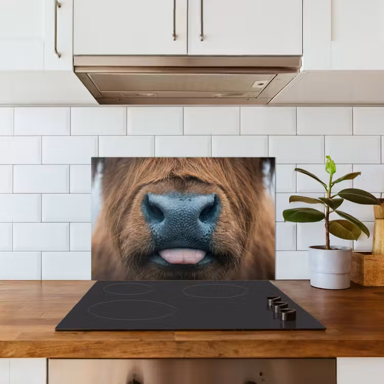 Spatscherm keuken - Schotse hooglander - Neus - Bruin — 6