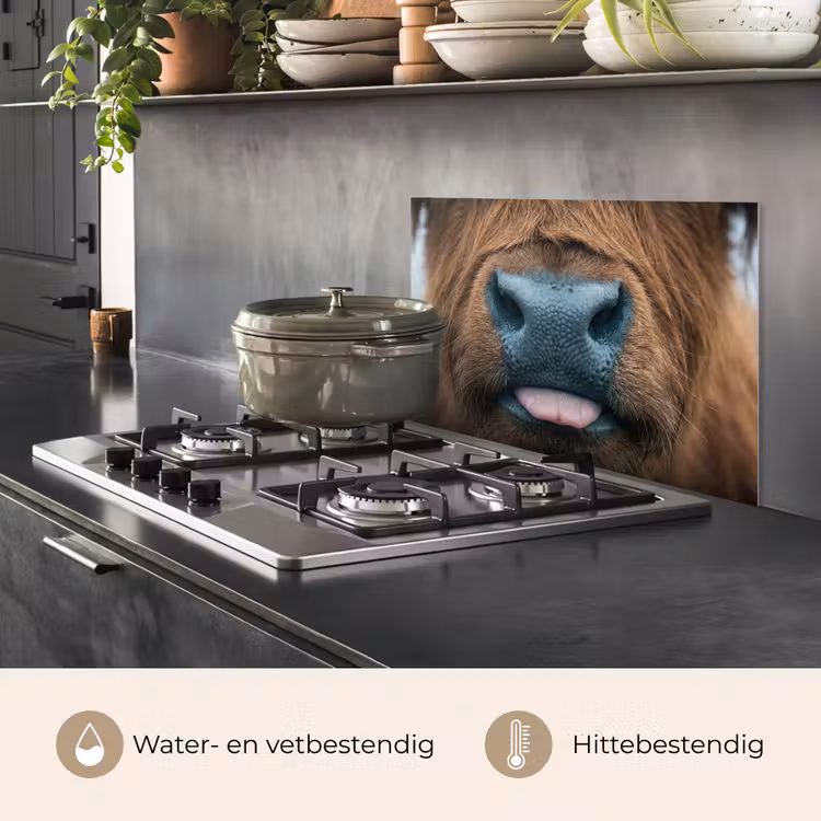 Spatscherm keuken - Schotse hooglander - Neus - Bruin — 7