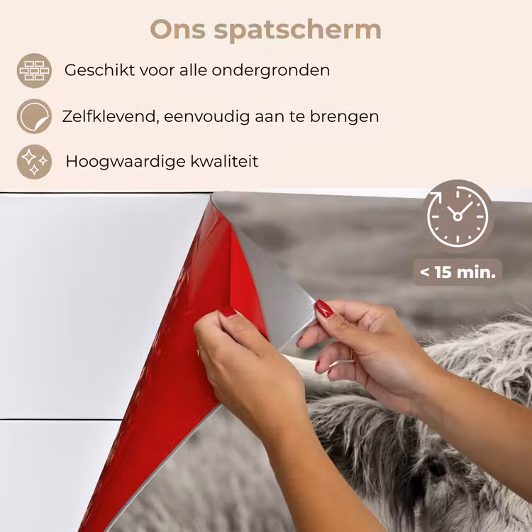 Spatscherm keuken - Schotse hooglander - Zwart - Wit - Hout — 4