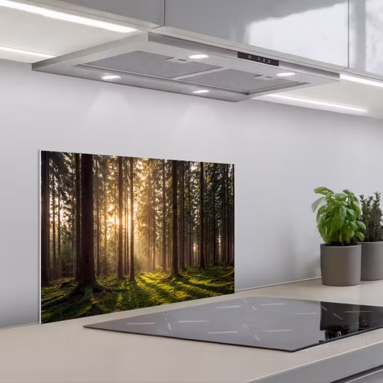 Spatscherm keuken - Bos - Gras - Zonlicht — 5