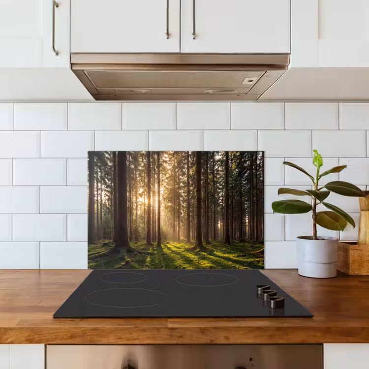 Spatscherm keuken - Bos - Gras - Zonlicht — 6