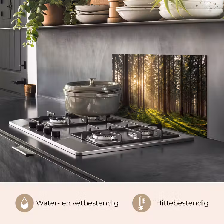 Spatscherm keuken - Bos - Gras - Zonlicht — 7