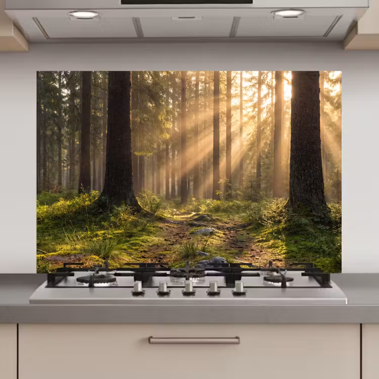 Spatscherm keuken - Bos - Zonlicht - Gras — 1